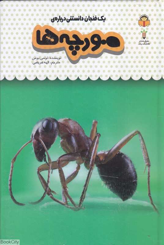 یک فنجان دانستنی درباره مورچه‌ها