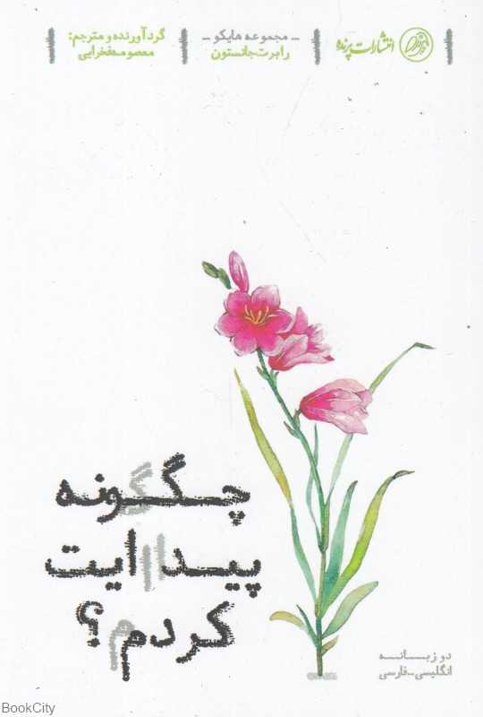 چگونه پیدایت کردم (مجموعه هایکو)