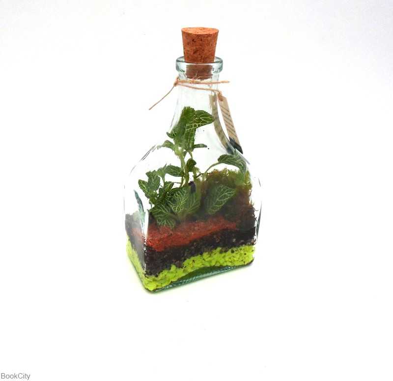 ونیز ایران تراریوم - 0