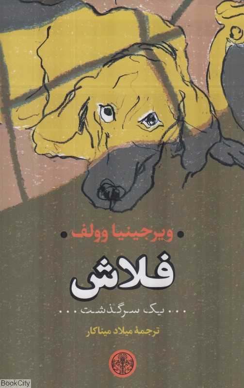 فلاش (یک سرگذشت)