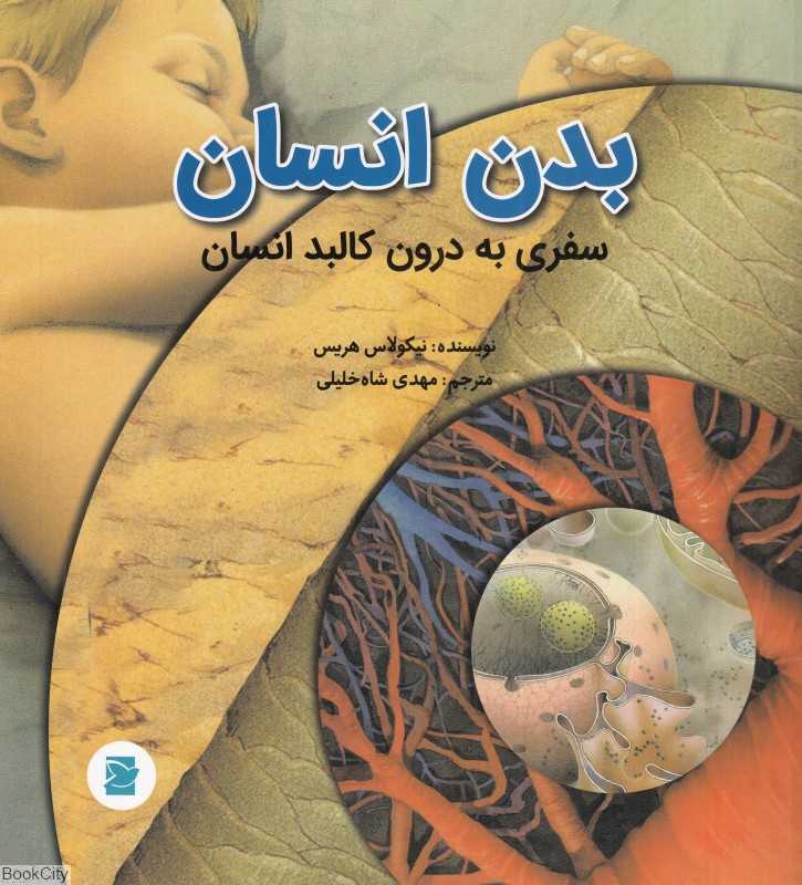 بدن انسان (سفری به درون کالبد انسان)