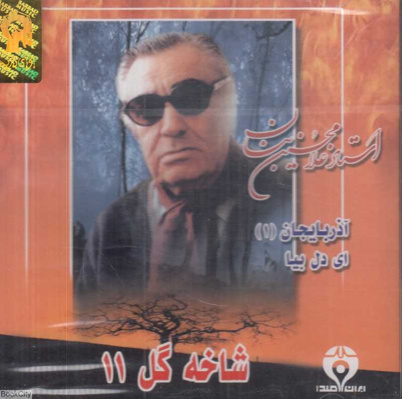 شاخه گل 11