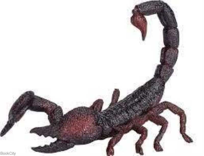 Emperor Scorpion 387133