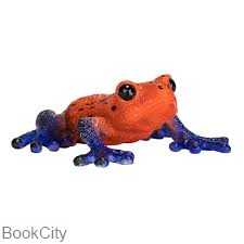 Poison Dart Tree Frog 381016