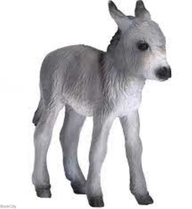 Donkey Foal 387398