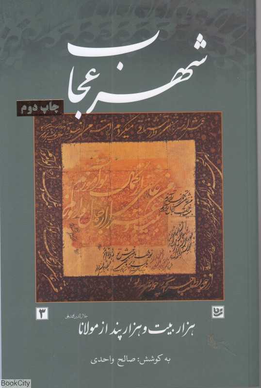 شهر عجاب (هزار بیت و هزار پند از مولانا)