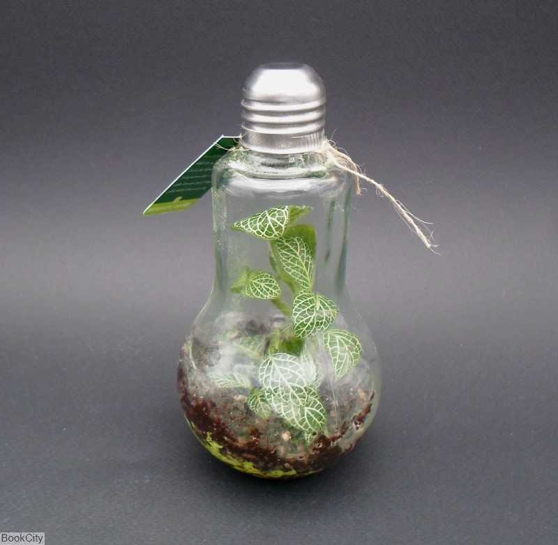 فیتونیا لامپی شیشه‌ای ایران تراریوم - 0