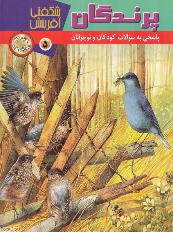 پرندگان (شگفتی آفرینش 5)