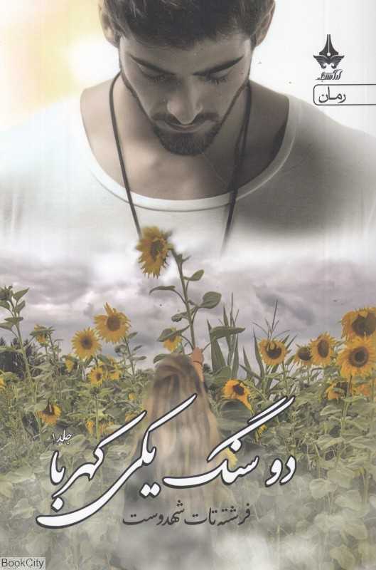 دو سنگ یکی کهربا (2 جلدی)