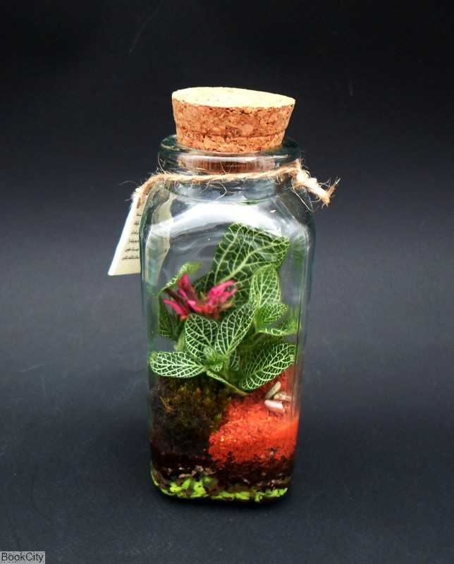 هیمالیا ایران تراریوم - 0