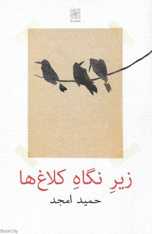 زیر نگاه کلاغ‌ها