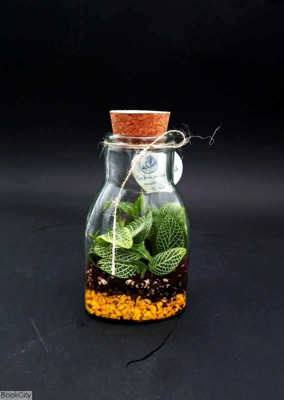 ایسلند ایران تراریوم - 0