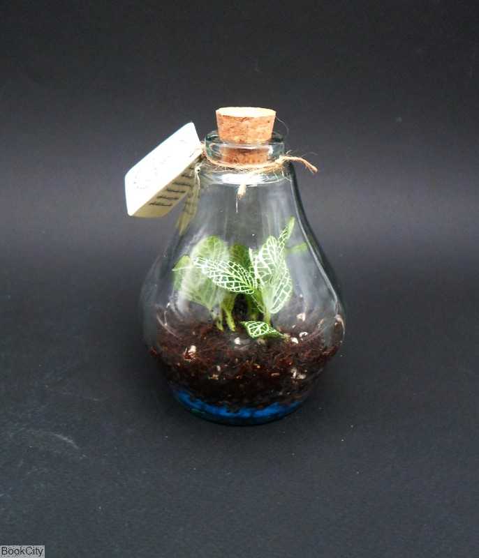 کهکشان ایران تراریوم - 0