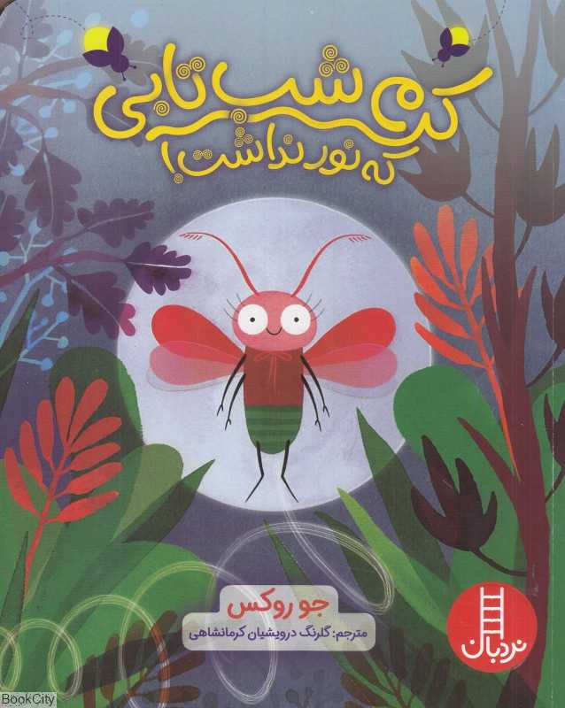 کرم شب‌تابی که نور نداشت