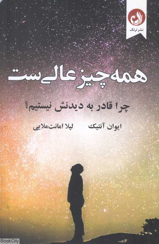 همه چیز عالی‌ست (چرا قادر به دیدنش نیستیم)