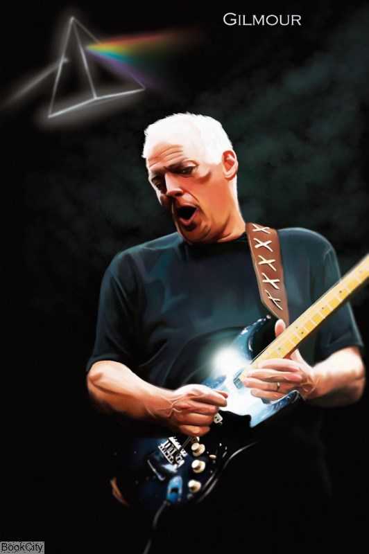 تابلو BlueWish 23288 David Gilmour 20×30