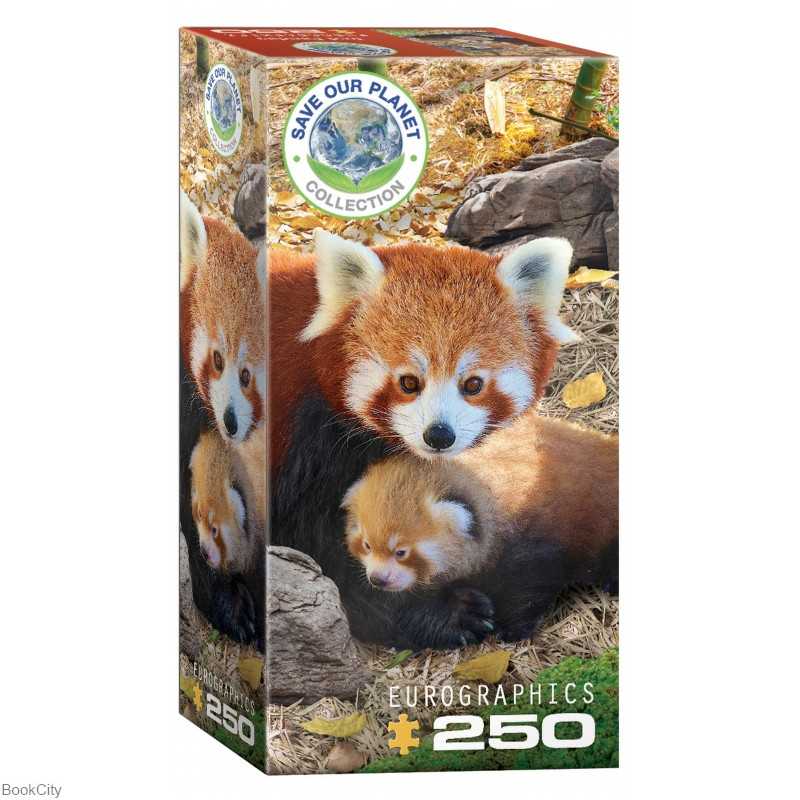 پازل Red Pandas 250pcs 5557