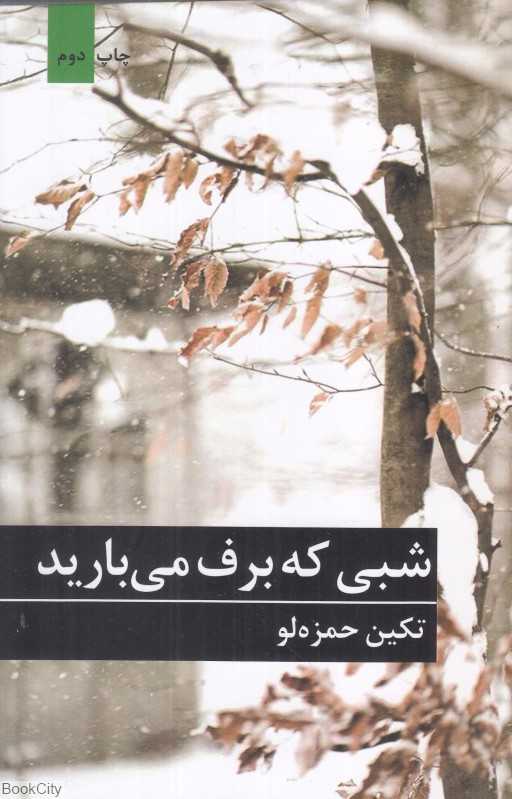 شبی که برف می‌بارید