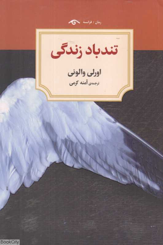 تندباد زندگی