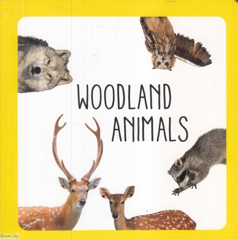 Woodland Animals