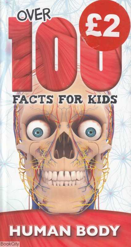 Human Body Facts For Kids