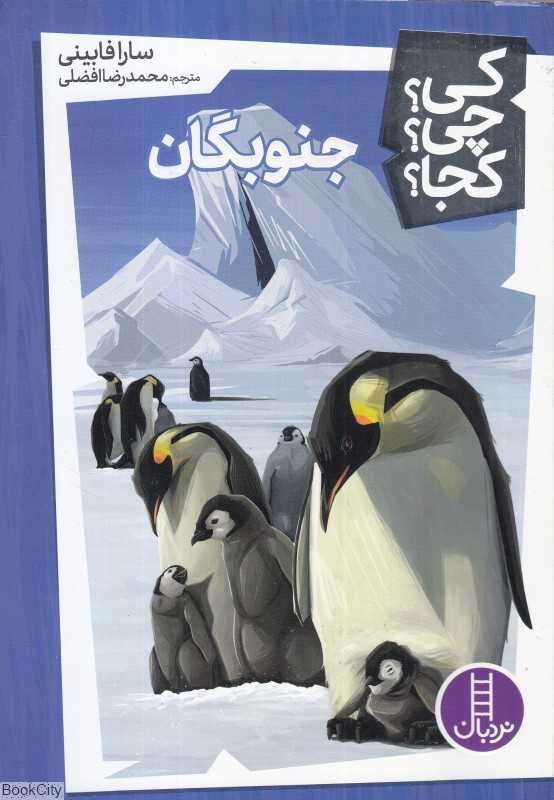 کی چی کجا (جنوبگان)