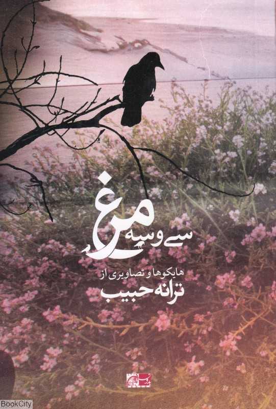 سی و سه مرغ (سی‌وسه مرغ)