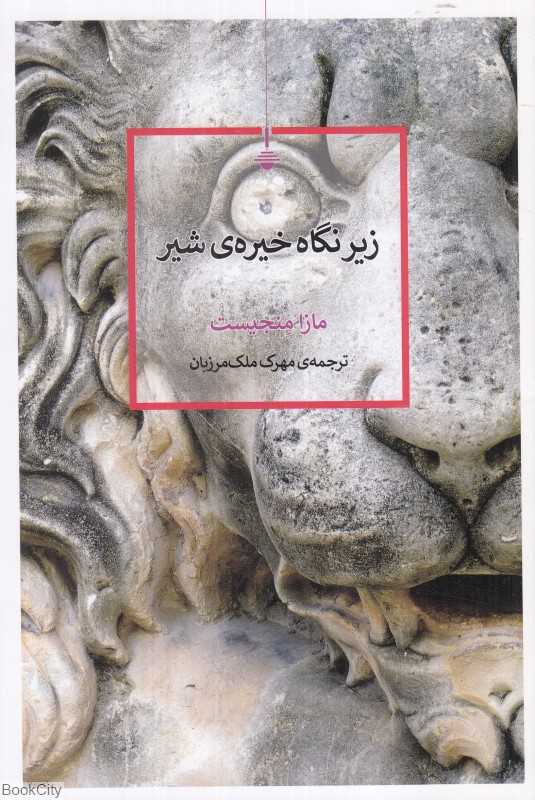 زیر نگاه خیره شیر