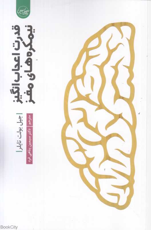 قدرت اعجاب‌انگیز نمیکره‌های مغز