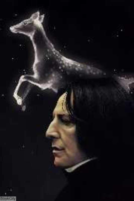 تابلو BlueWish 23352 Severus Snape 20×30