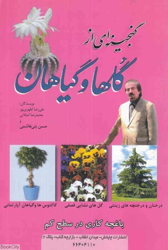 گنجینه‌ای از گلها و گیاهان (باغچه‌کاری در سطح کم)