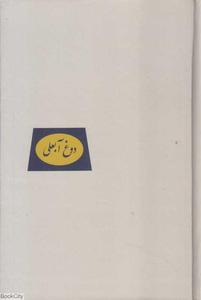 item.website_item_name