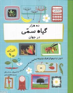 item.website_item_name