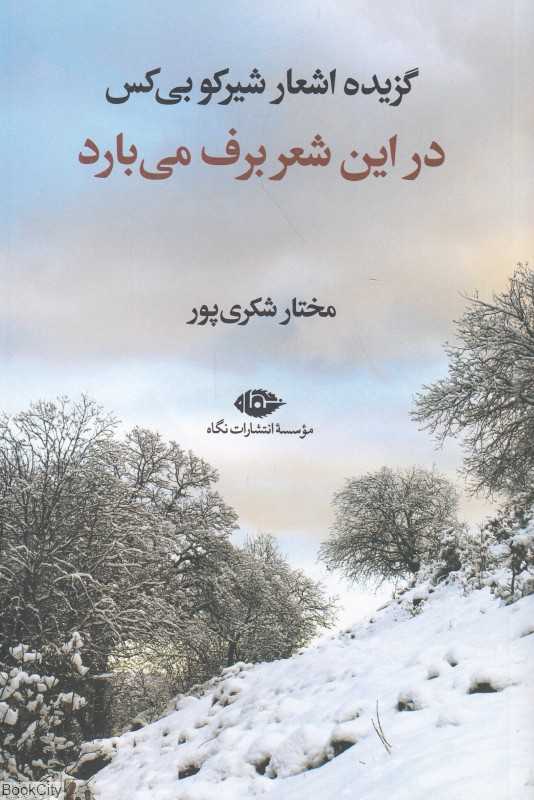 در این شعر برف می‌بارد