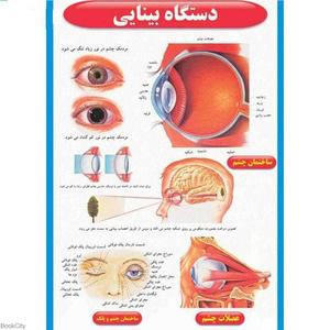 item.website_item_name