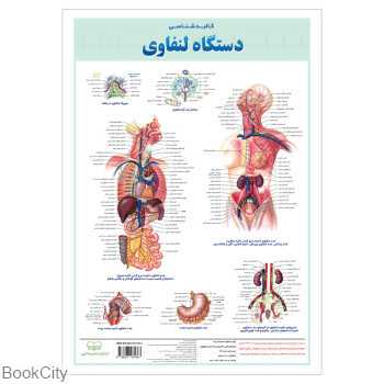 پوستر دستگاه لنفاوی اندیشه کهن
