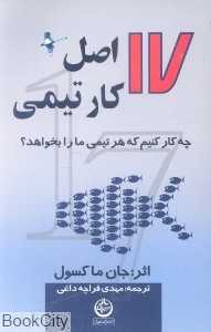 17 اصل کار تیمی