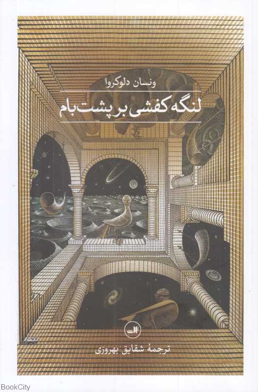 لنگه کفشی بر پشت‌بام