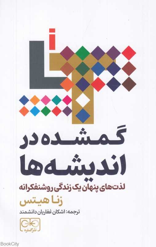 گمشده در اندیشه‌ها (لذت‌های پنهان یک زندگی روشنفکرانه)