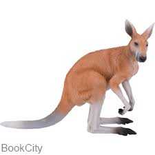 Kangaroo 381010