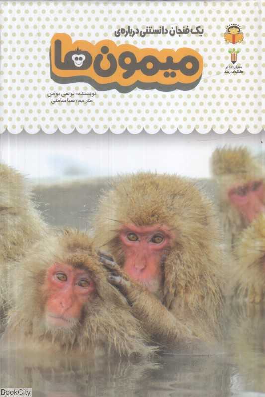 یک فنجان دانستنی درباره میمون‌ها