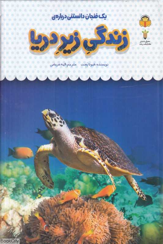 یک فنجان دانستنی درباره زندگی زیر دریا