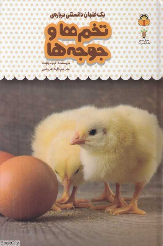 یک فنجان دانستنی درباره تخم‌ها و جوجه‌ها