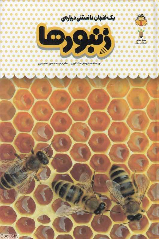 یک فنجان دانستنی درباره زنبورها
