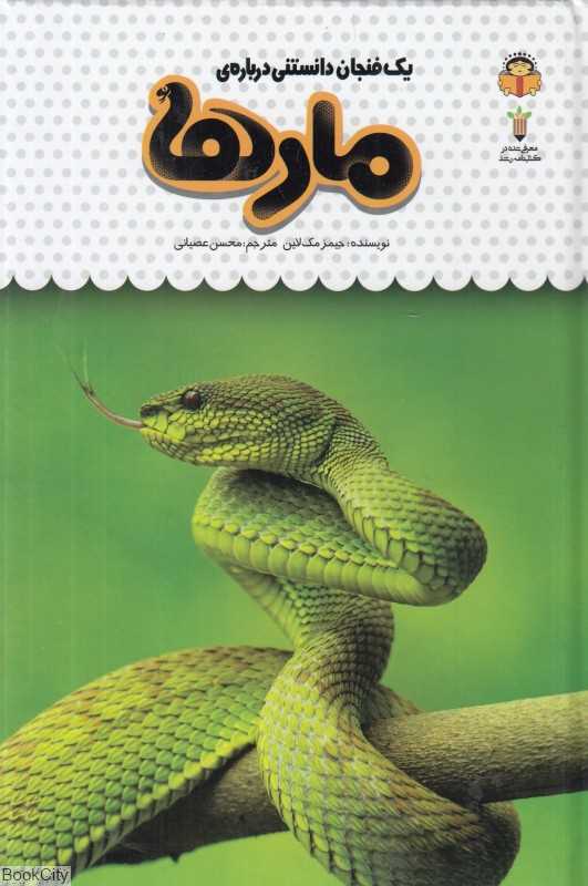 یک فنجان دانستنی درباره مارها