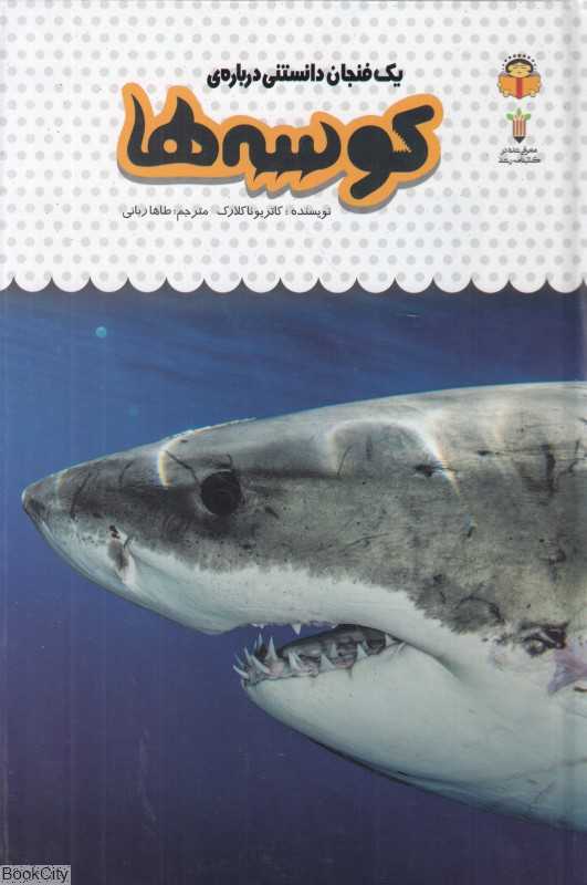 یک فنجان دانستنی درباره کوسه‌ها