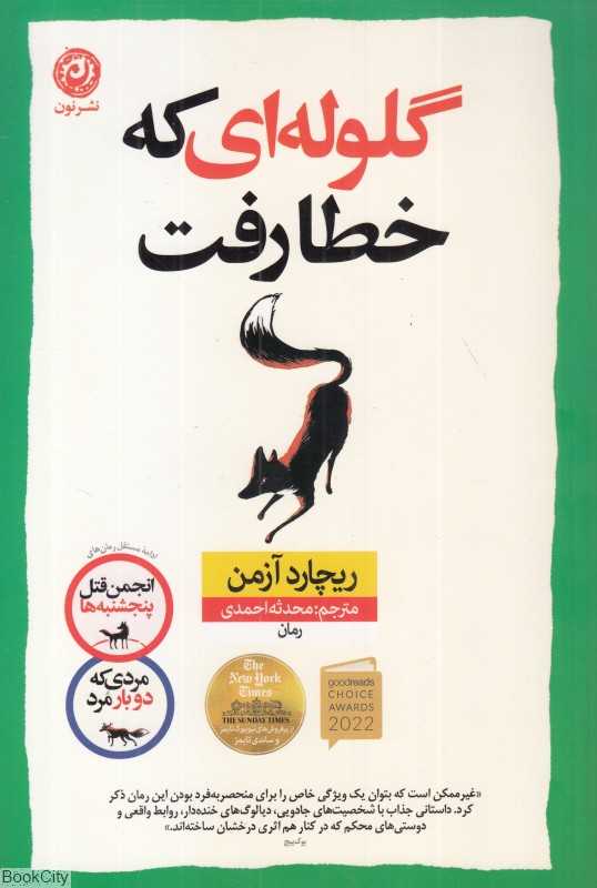 گلوله‌ای که خطا رفت