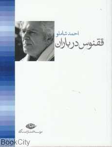 ققنوس در باران (جیبی)