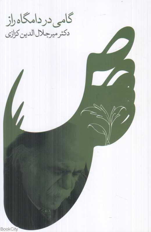 گامی در دامگاه راز