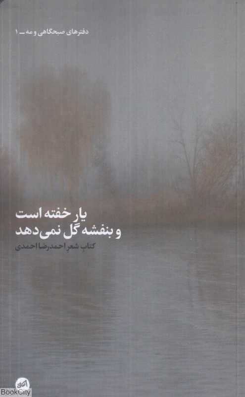 یار خفته است و بنفشه گل نمی‌دهد (دفترهای صبحگاهی و مه 1)